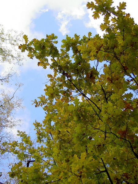 ПОГОДА - просто кайф! )))