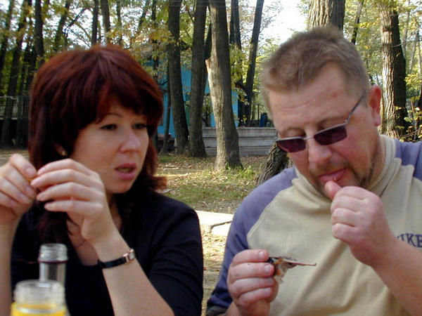 Ну, чё со СЛОНом будем делать? Совсем от рук отбился....